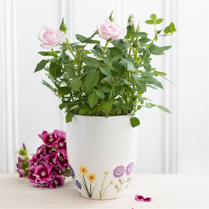 Wildflower Ceramic Plant Pot