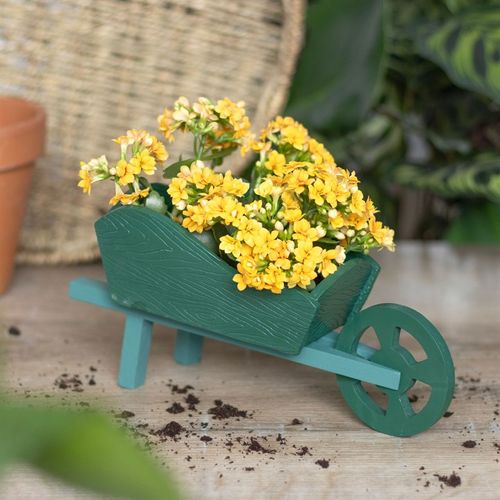 Green Resin Wheelbarrow Planter